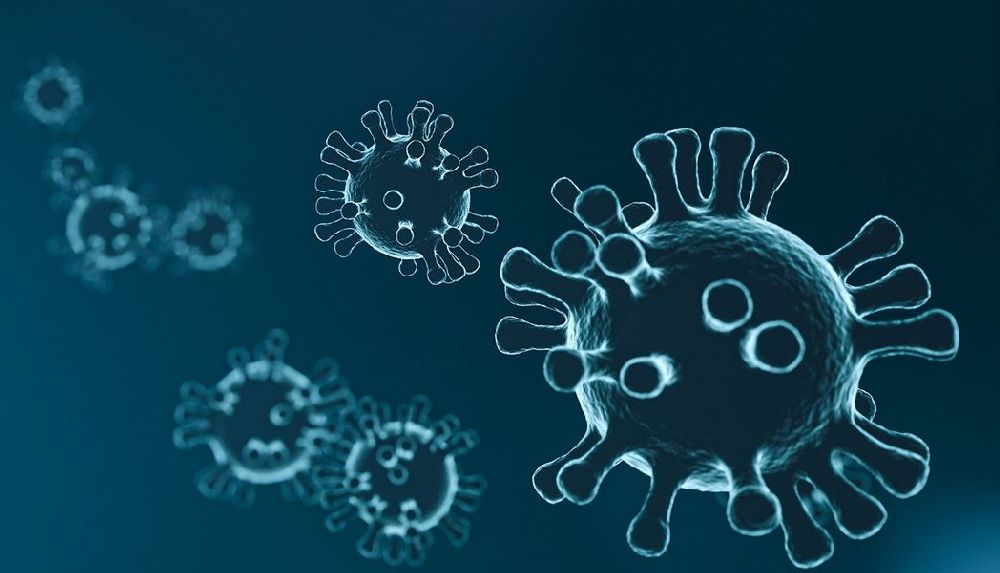 Obaveštenje FIMEK-a u vezi COVID-19